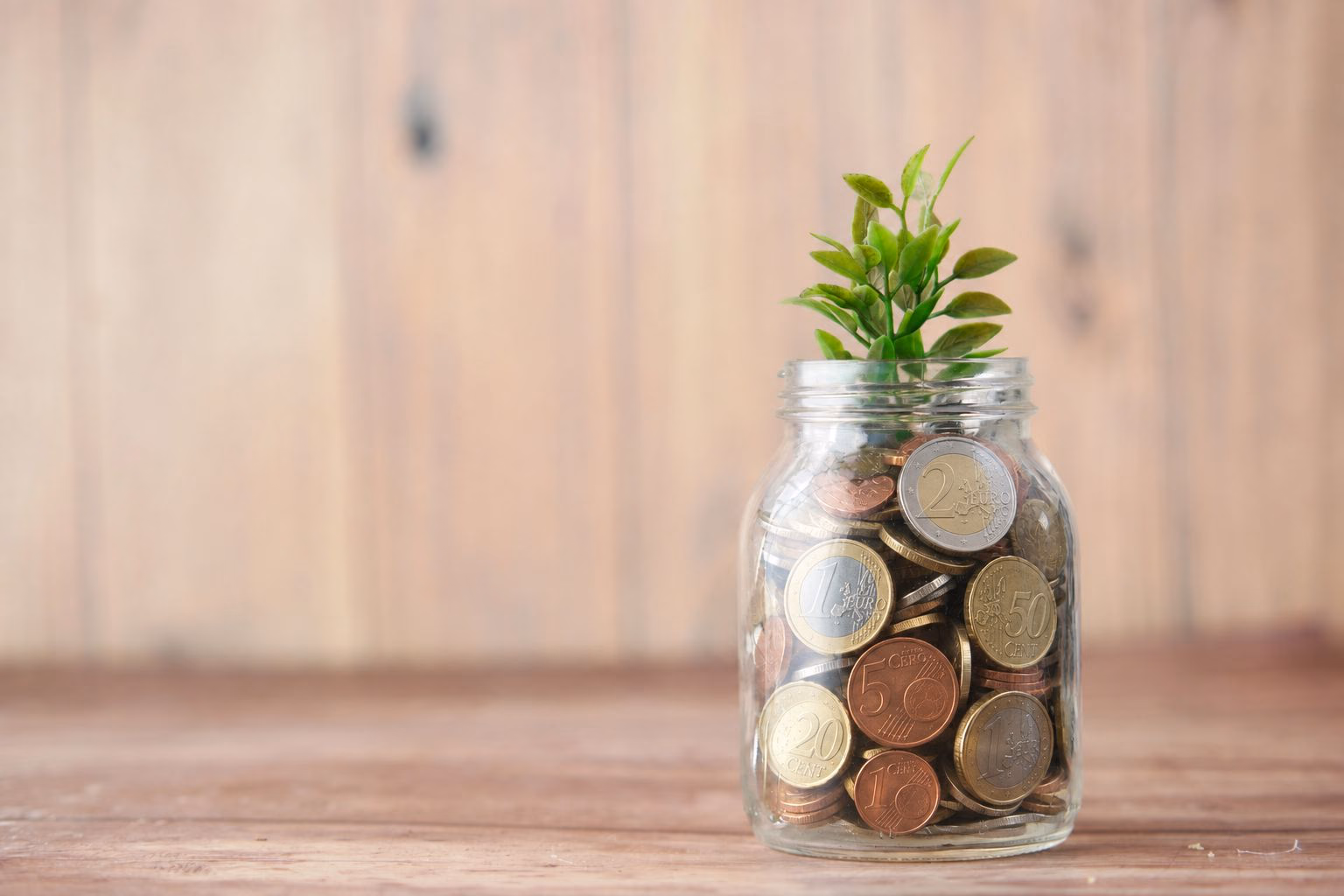 Glazen bokaal met euromunten en een jong plantje